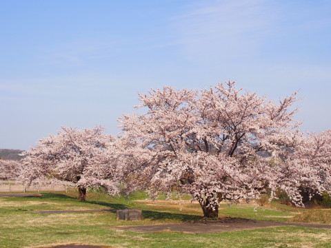 b0147224_23311585.jpg
