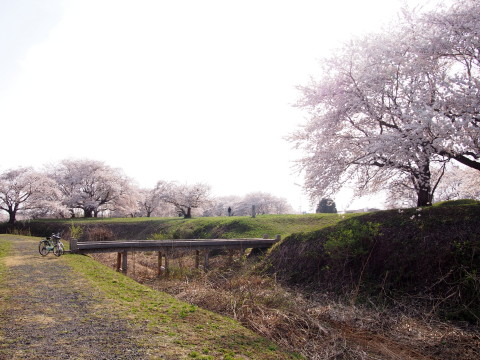 b0147224_23344143.jpg