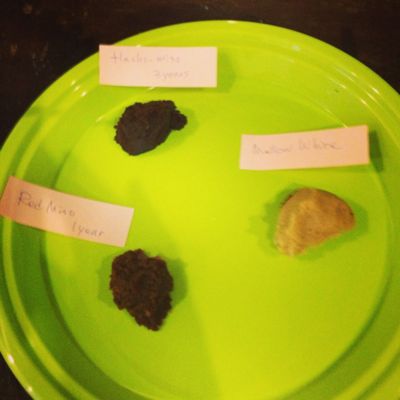 Jコラボさんで、奈津子さんと味噌レシピクラス♪_f0095325_1235036.jpg
