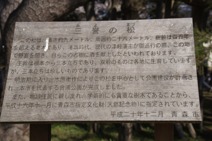 a0122932_819469.jpg