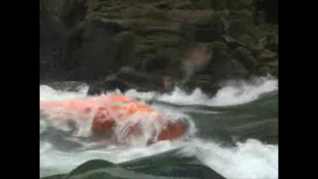 c0113733_035056.png