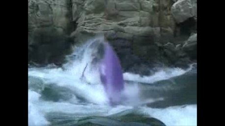 c0113733_0365045.png