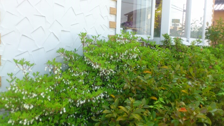 d0252434_17151429.jpg