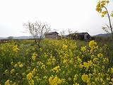 f0167635_6314911.jpg