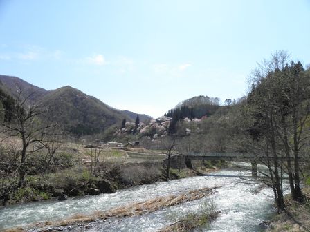 岩泉町浅内の「花見山」_b0206037_12311229.jpg