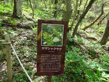 e0110940_23455257.jpg