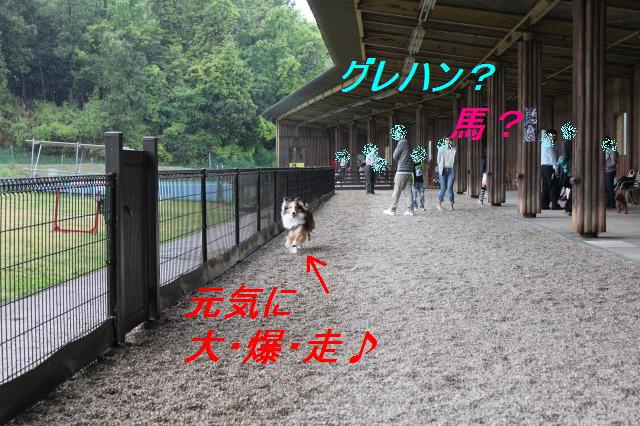 娘が生まれました?! ミント登場_e0195743_1534224.jpg