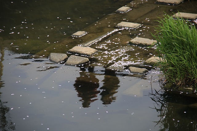 f0288049_8171987.jpg