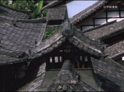 「hayashi films」を仮配信_b0115553_08093109.png