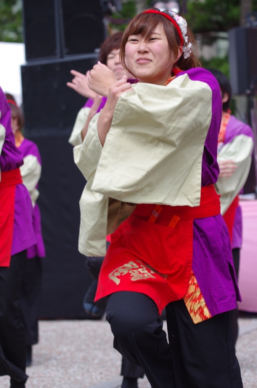 京都さくらよさこい２０１４一日目その３（佛教大学よさこいサークル紫踊屋）_a0009554_22463130.jpg