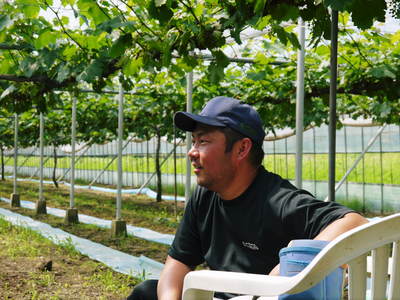 熊本ぶどう 社方園 徹底作業!!匠の芽カギ_a0254656_17371598.jpg