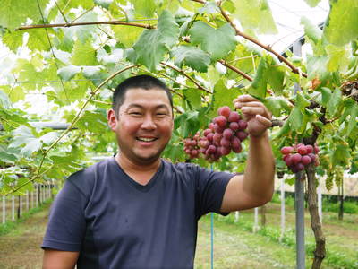 熊本ぶどう 社方園 徹底作業!!匠の芽カギ_a0254656_17431059.jpg