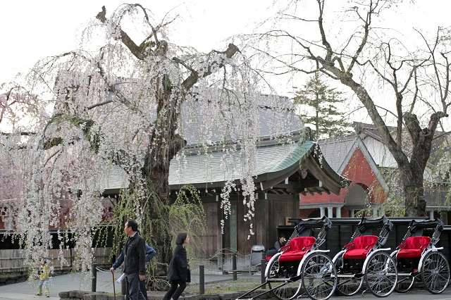 みちのくの小京都 角館 1泊2日 武家屋敷見学_f0332566_14154577.jpg