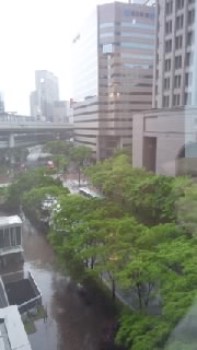 f0200871_061078.jpg