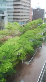 f0200871_061081.jpg