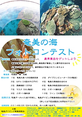 「奄美の海!フォトコンテスト 明日から開催!!」_b0033573_22052657.jpg