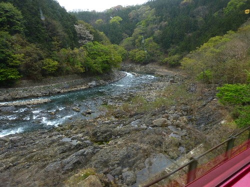 春の京都ひとり旅(三)　嵐山・嵯峨野トロッコ列車_d0084473_21052100.jpg