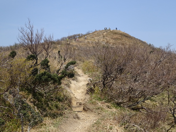 c0066176_05841.jpg