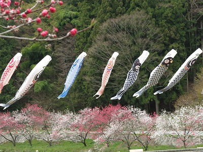 花桃の里（月川温泉）_a0235077_1192927.jpg