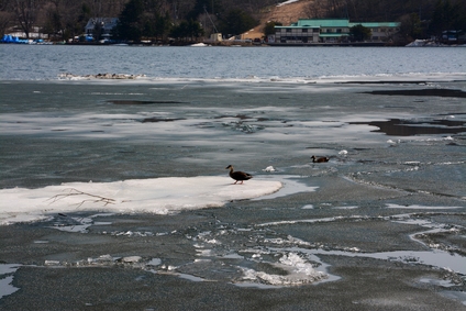 赤城大沼の氷_e0050579_2095244.jpg