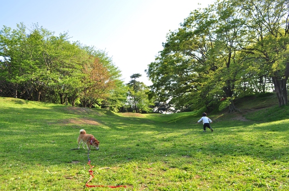 ヨチヨチ歩き_a0126590_23215521.jpg