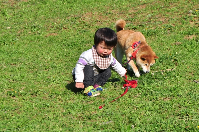 ヨチヨチ歩き_a0126590_23335599.jpg