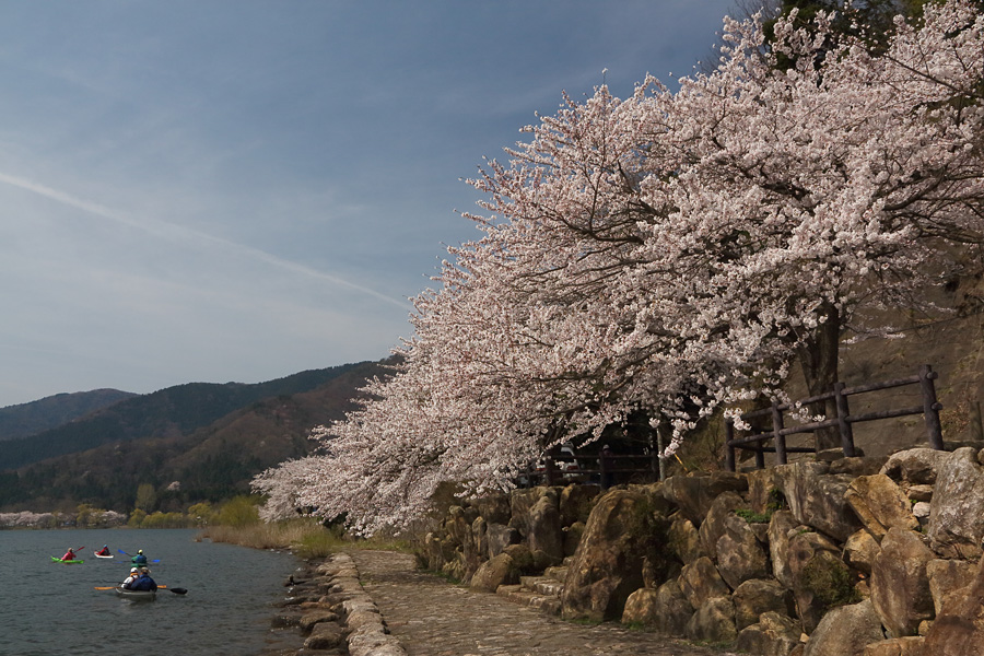 2014.04.12：桜三昧⑤春の琵琶湖、湖北撮影散策３_c0007190_19311772.jpg