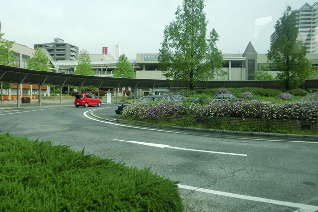 阪急電車「西宮北口」は花々がいっぱい、宝塚歌劇100周年ラッピング電車で春爛漫、阪急沿線は楽しい_d0181492_20322312.jpg