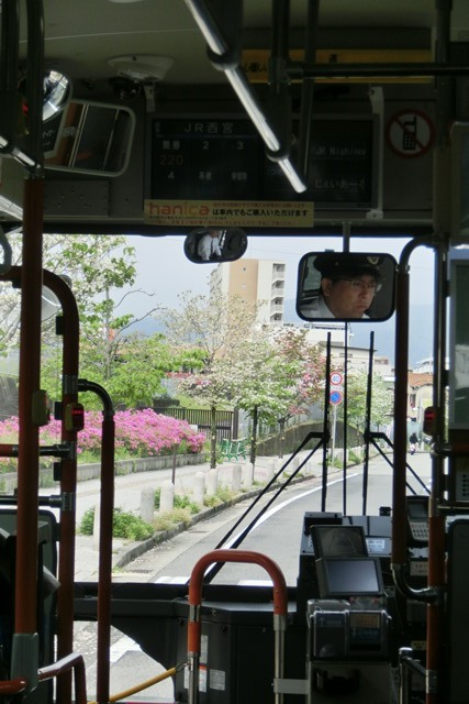 阪急電車「西宮北口」は花々がいっぱい、宝塚歌劇100周年ラッピング電車で春爛漫、阪急沿線は楽しい_d0181492_20335768.jpg
