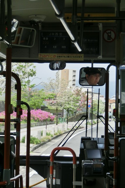 阪急電車「西宮北口」は花々がいっぱい、宝塚歌劇１００周年ラッピング電車で春爛漫、阪急沿線は楽しい_d0181492_20335768.jpg