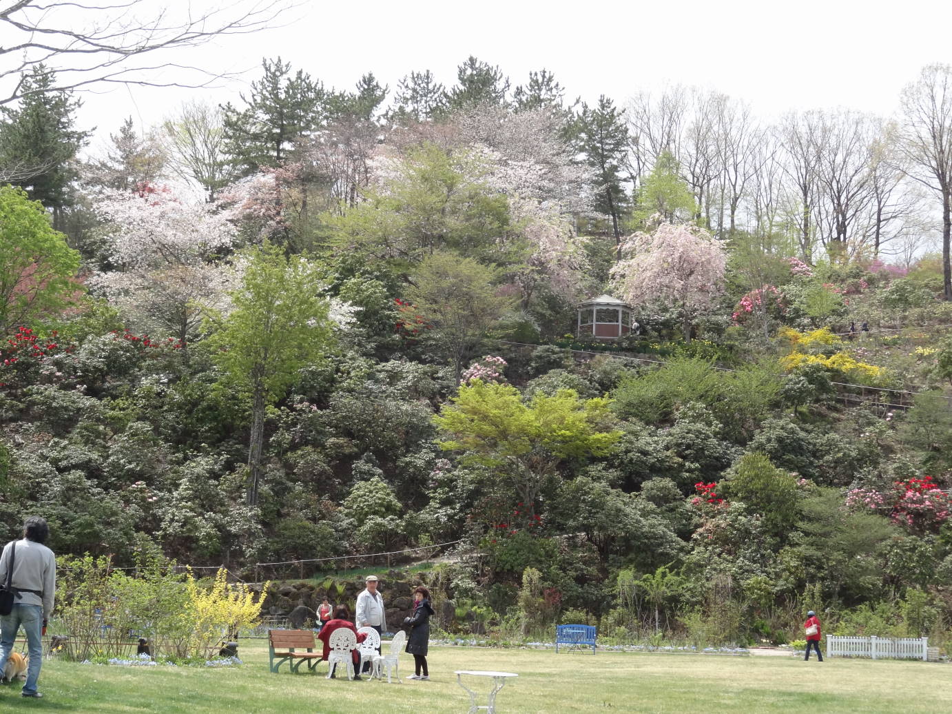 今年初のボタニカルガーデン　２０１４_f0075595_157672.jpg