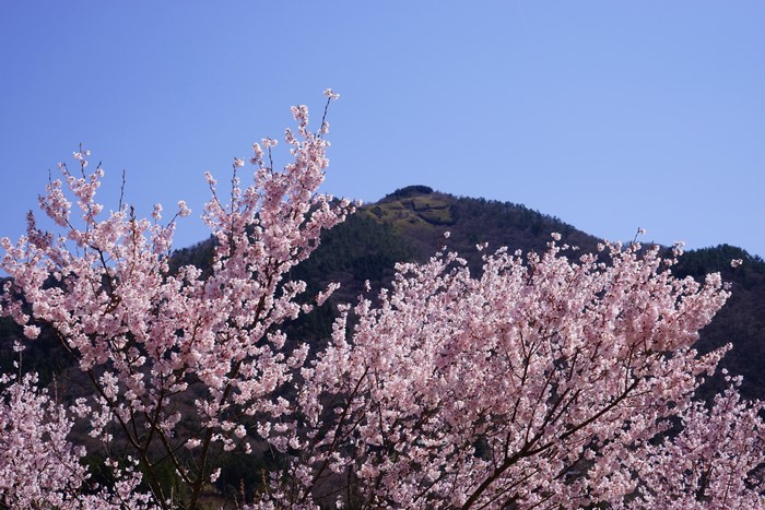 b0145398_21302499.jpg
