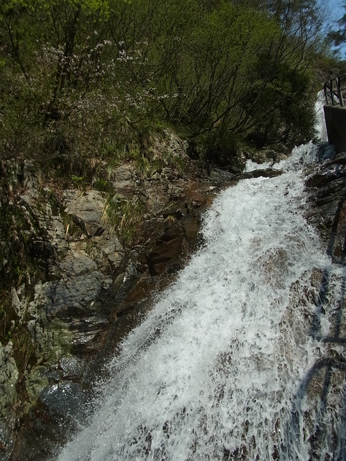 e0243008_910354.jpg