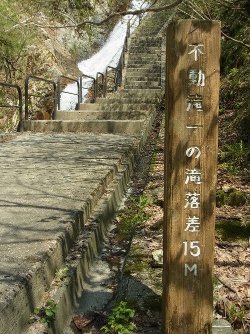 e0243008_993136.jpg