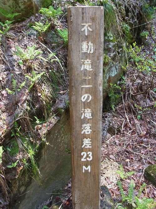 e0243008_995311.jpg