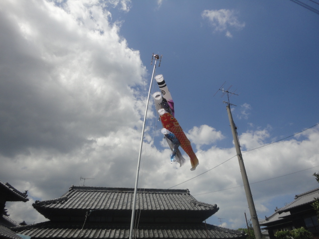 5月の空に鯉のぼり…2014・5・1_f0231709_2129668.jpg