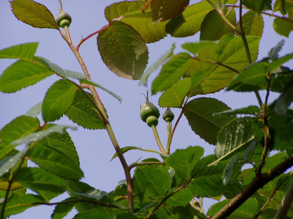 f0324510_00243441.jpg