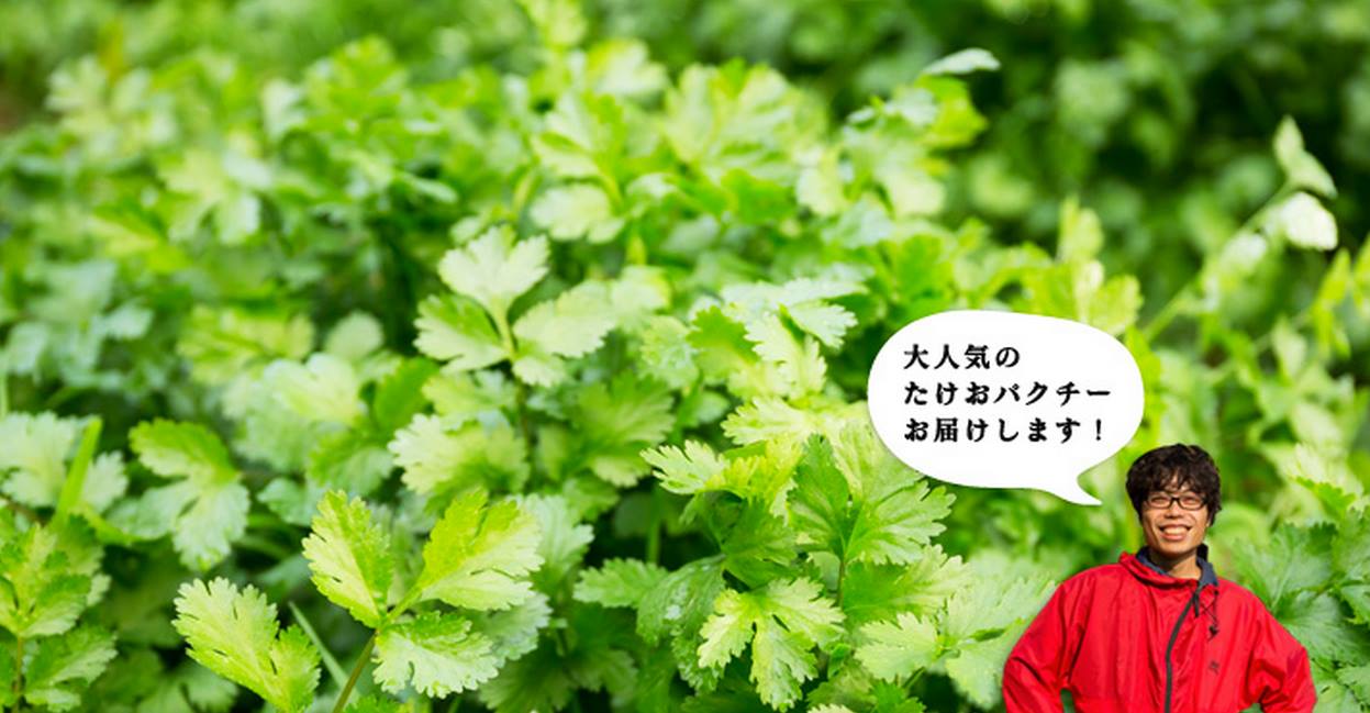 武雄パクチーが、Oisix（オイシックス）に登場_d0047811_15432693.jpg