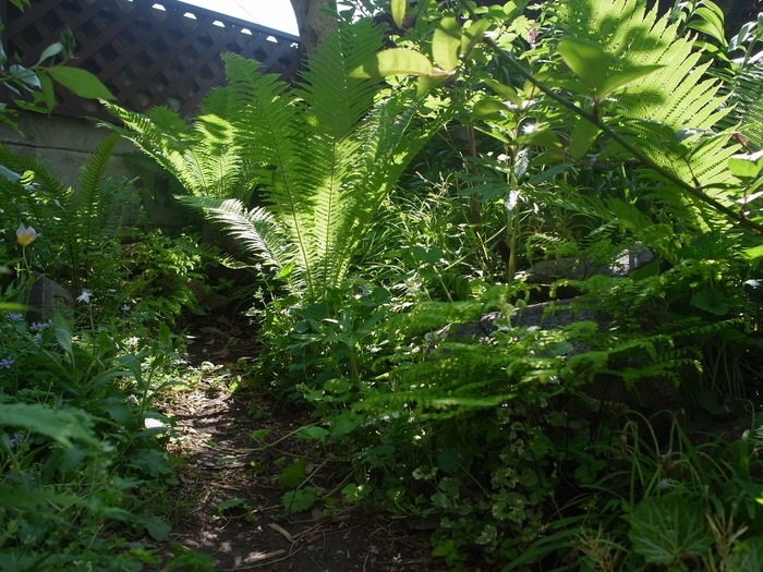 春終了のお知らせ_e0276411_14511539.jpg