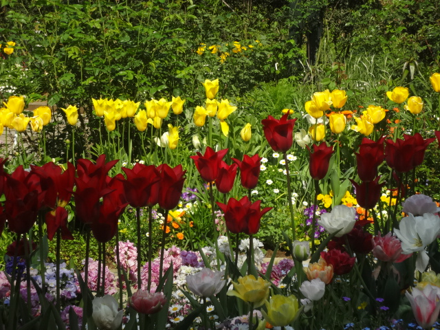 c0193512_1063767.jpg