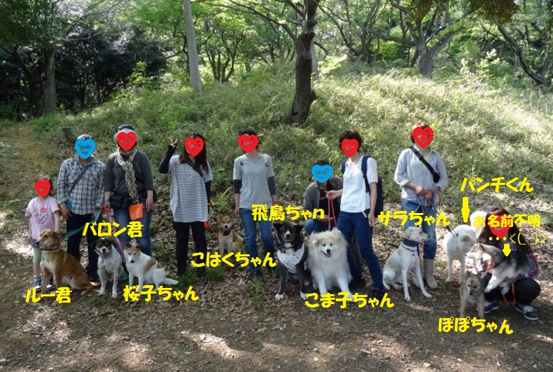 f0121712_1616236.jpg
