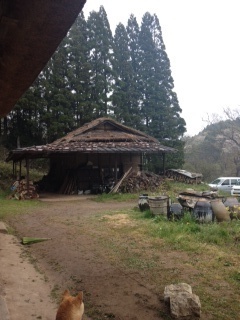 c0200314_23272836.jpg