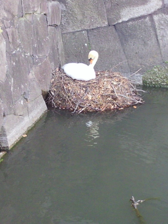 b0228416_20083050.jpg