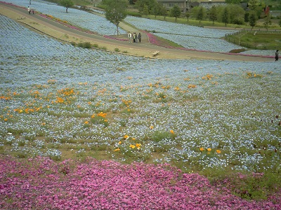 上信越花めぐりの旅_a0116217_2317418.jpg