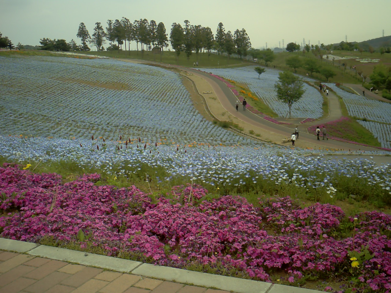 上信越花めぐりの旅_a0116217_23214916.jpg