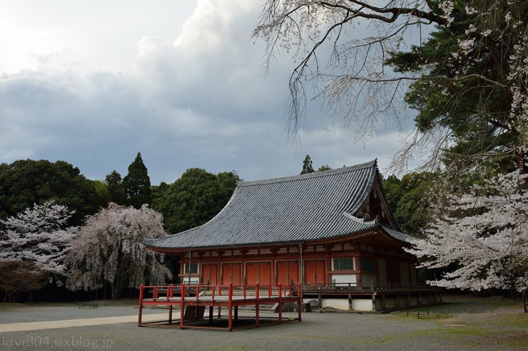 京都 醍醐寺 伽藍 ～桜～_d0319222_1013939.jpg