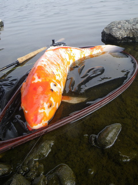 c0202727_200869.jpg