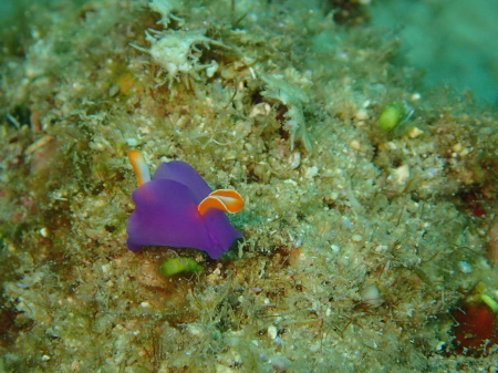 b0100730_2133721.jpg
