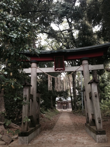 木を磨いて、、佐倉市太田の神社_c0041935_07072539.jpg