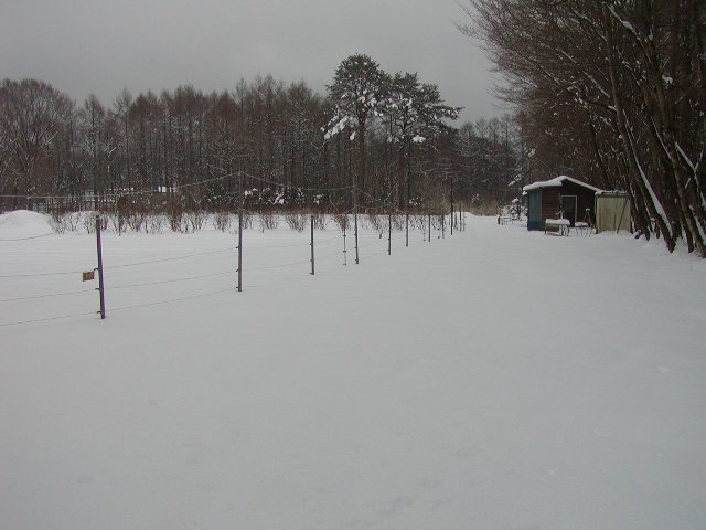 b0312438_1855999.jpg